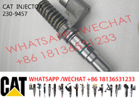 Fuel Pump Injector 230-9457 2309457 392-0202 392-0205 Diesel For Caterpiller C9 Engine